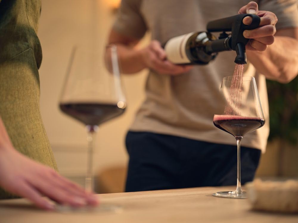 Wine Preservation System for Wine by the Glass, Pivot Plus
