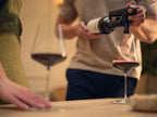 Wine Preservation System for Wine by the Glass, Pivot Plus