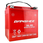 YTX30L-BS AGM Battery for Harley Touring 12V 30Ah 500 CCA Sealed Maintenance Free Powersports