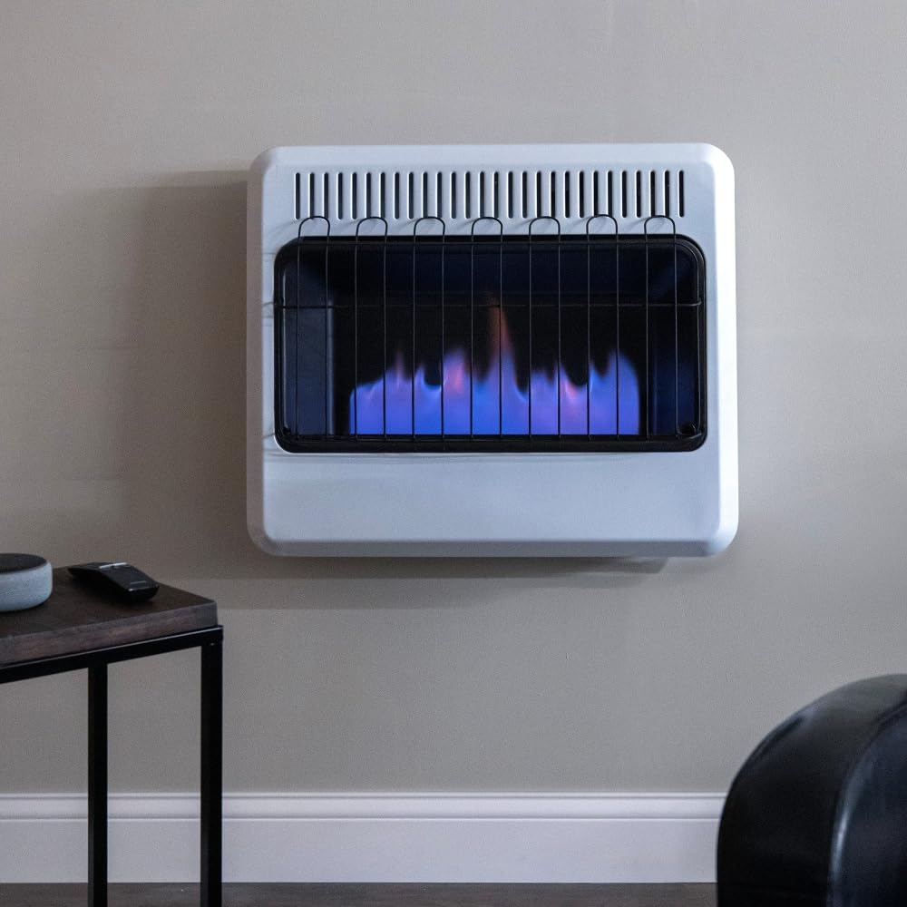 30000 BTU Vent Free Blue Flame Natural Gas Heater for Indoor Home Garage Workshop Heating Solution