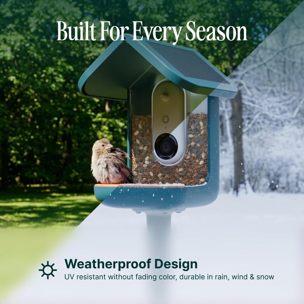Pro Solar Smart Bird Feeder with Camera AI Bird Identification 2K Video for Outdoor Garden