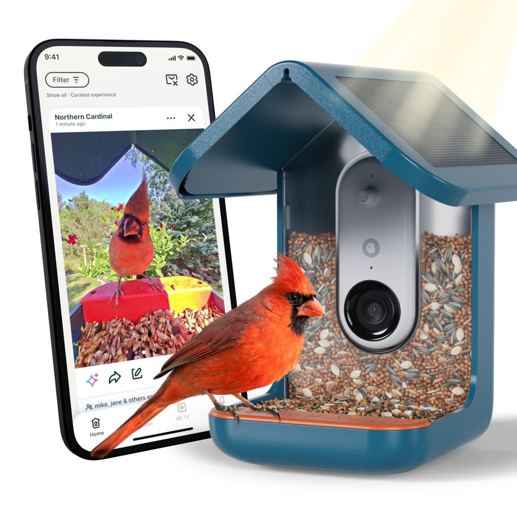 Pro Solar Smart Bird Feeder with Camera AI Bird Identification 2K Video for Outdoor Garden