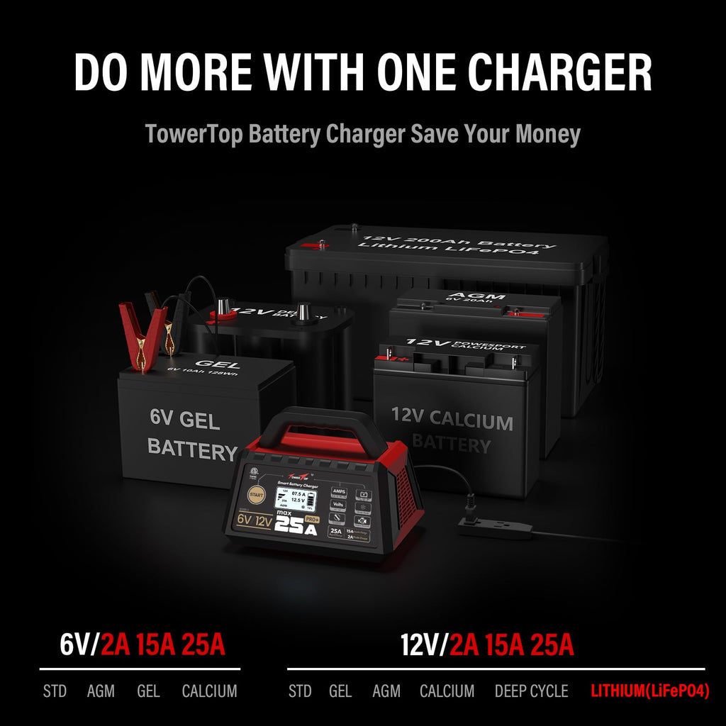 25A Pro+ Battery Charger 6V 12V Automatic Maintainer Engine Start Desulfator Repair for Lead Acid AGM LiFePO4