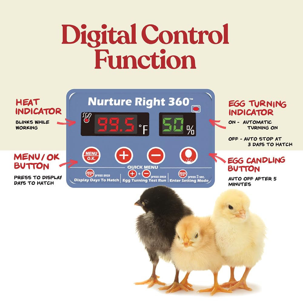 Nurture Right Egg Incubator with Auto Turner Holds 22 Eggs for Poultry Hatching and Family Farming
