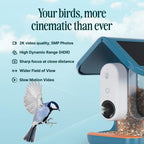 Pro Solar Smart Bird Feeder with Camera AI Bird Identification 2K Video for Outdoor Garden