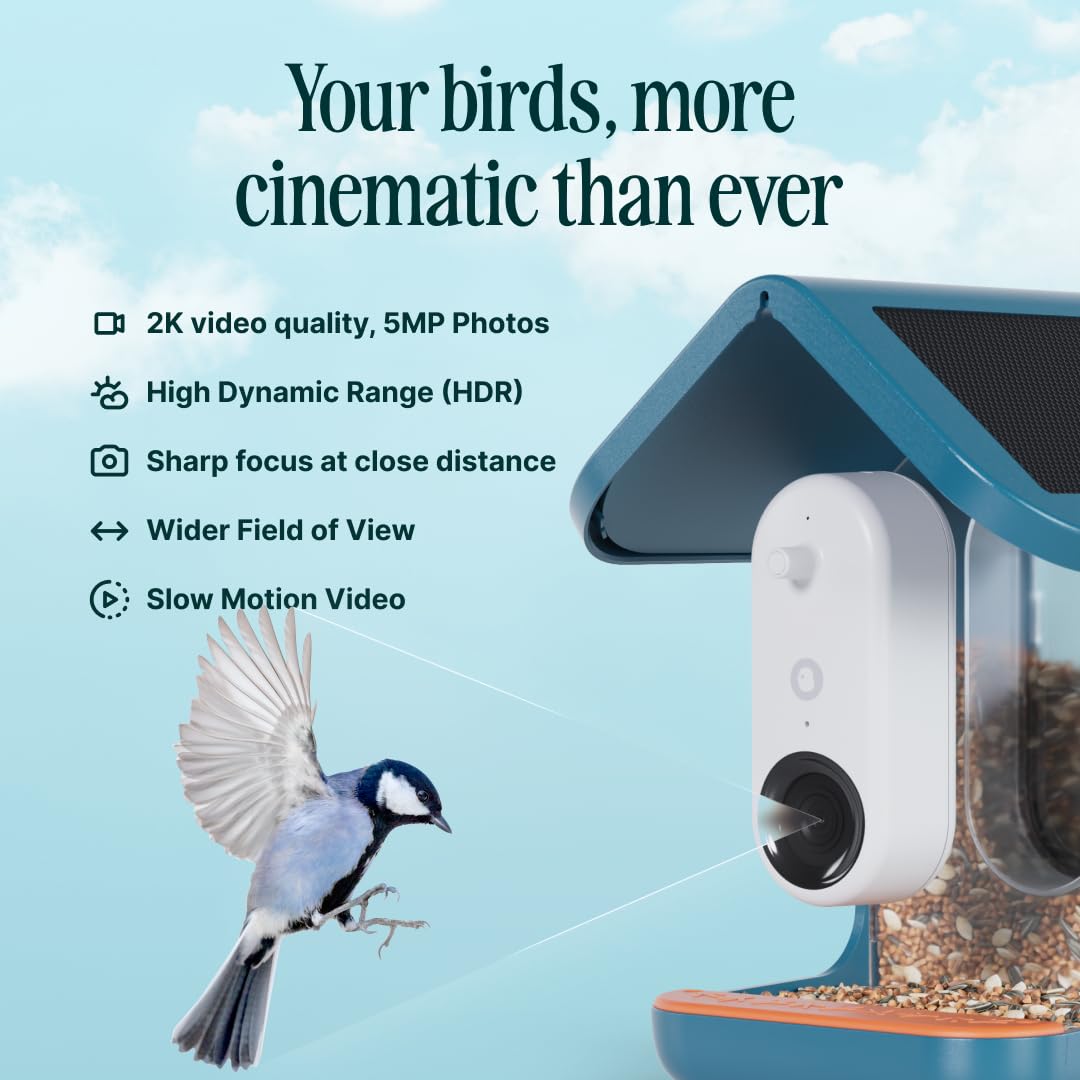 Pro Solar Smart Bird Feeder with Camera AI Bird Identification 2K Video for Outdoor Garden