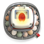 Nurture Right Egg Incubator with Auto Turner Holds 22 Eggs for Poultry Hatching and Family Farming