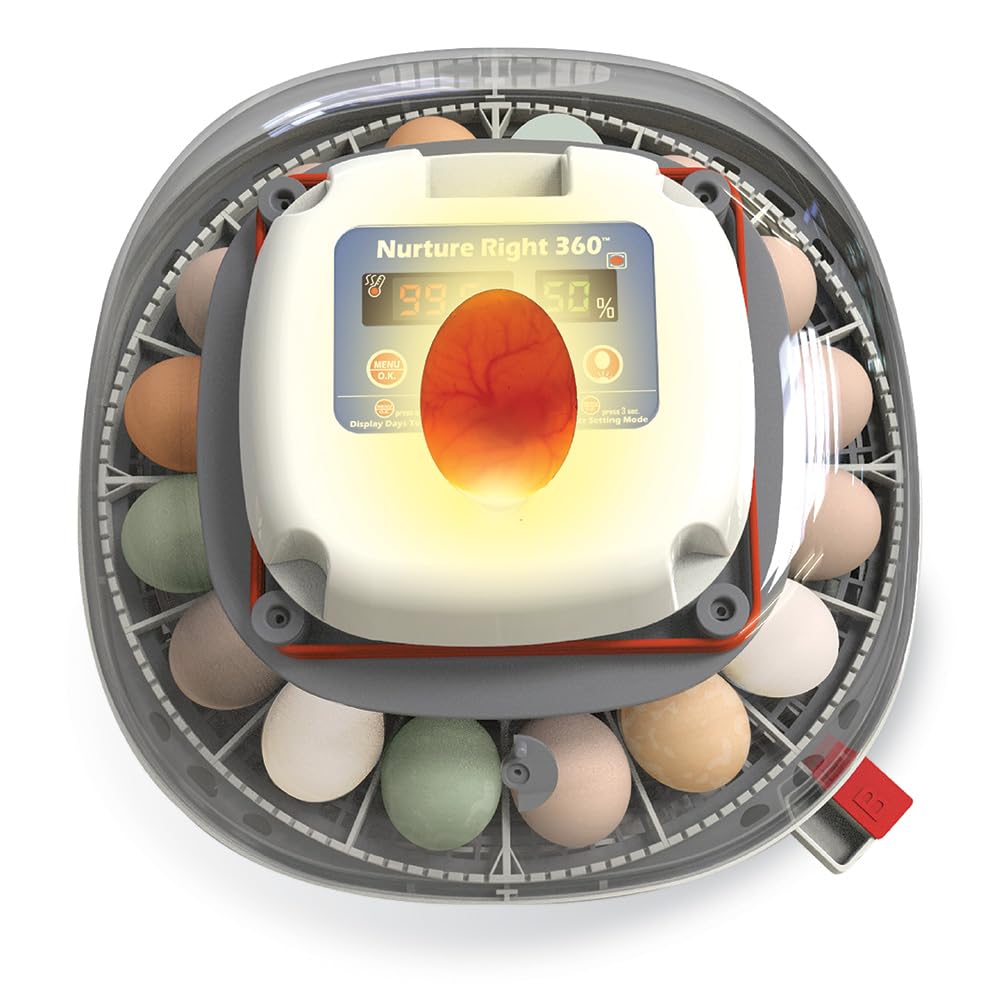 Nurture Right Egg Incubator with Auto Turner Holds 22 Eggs for Poultry Hatching and Family Farming