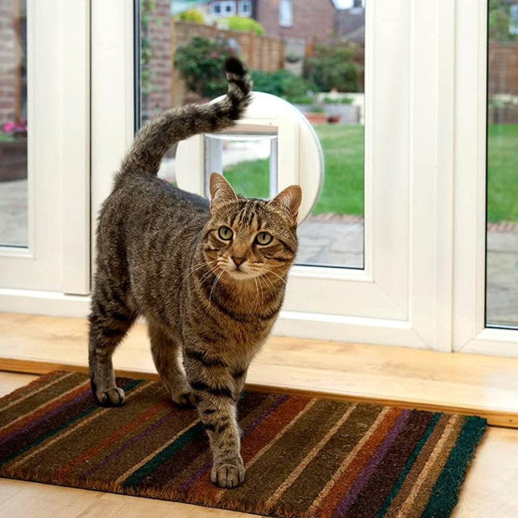 Microchip Cat Flap White Scans Pet ID on Entry Check Cat Size Flap Opening 4 3/4 H by 5 5/8 W