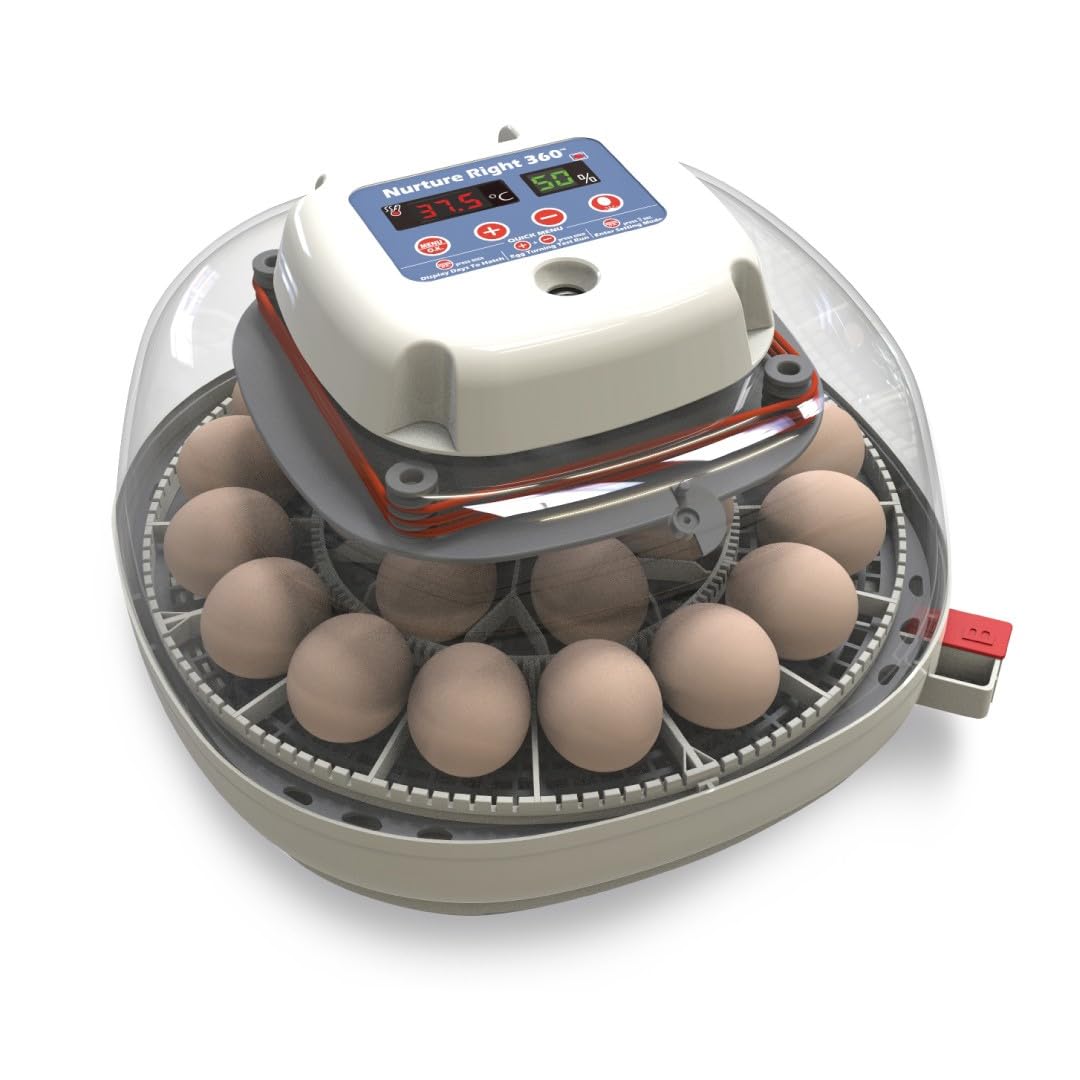 Nurture Right Egg Incubator with Auto Turner Holds 22 Eggs for Poultry Hatching and Family Farming