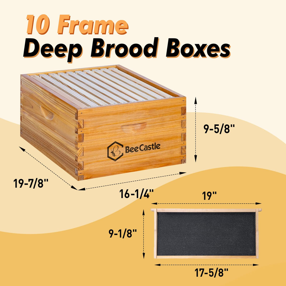 10 Frame Langstroth Bee Hive Beeswax Coated Includes Frames and Waxed Foundations 2 Deep 1 Medium Boxes