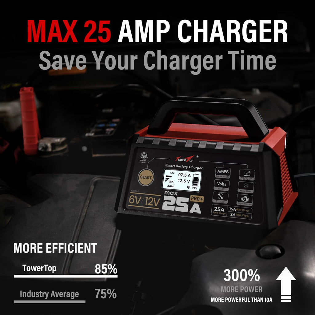 25A Pro+ Battery Charger 6V 12V Automatic Maintainer Engine Start Desulfator Repair for Lead Acid AGM LiFePO4