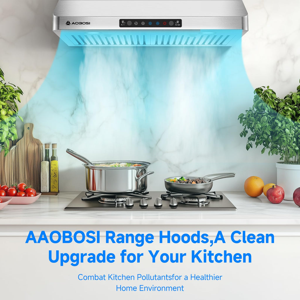 30 Inch Under Cabinet Range Hood Stainless Steel Kitchen Vent Hood Exhaust Fan for Home Kitchen