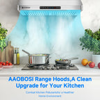 30 Inch Under Cabinet Range Hood Stainless Steel Kitchen Vent Hood Exhaust Fan for Home Kitchen