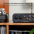 ZA3 Balanced Stereo Amp TPA3255 Mini 2 Channel Mono Amplifier for Passive Speakers Subwoofer 48V Power Supply