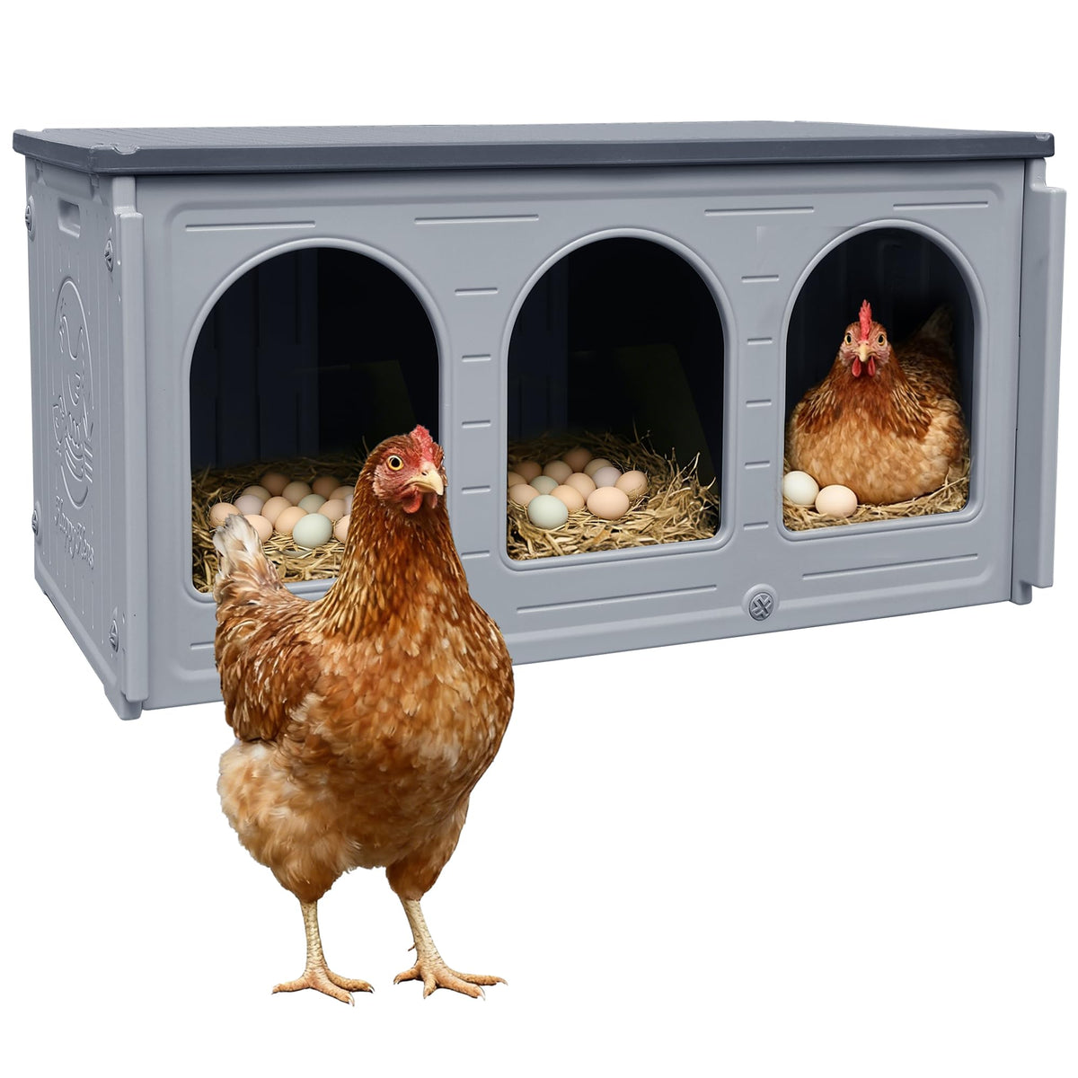 Plastic Chicken Nesting Boxes for Coop Poultry Hens Egg Laying Durable Easy Clean Farm Use