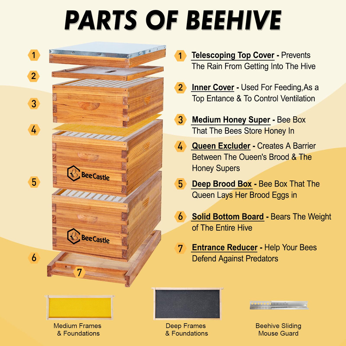 10 Frame Langstroth Bee Hive Beeswax Coated Includes Frames and Waxed Foundations 2 Deep 1 Medium Boxes