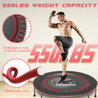 Foldable Bungee Rebounder Trampoline for Adults with Handlebar Indoor Outdoor Home Gym Fitness Exercise