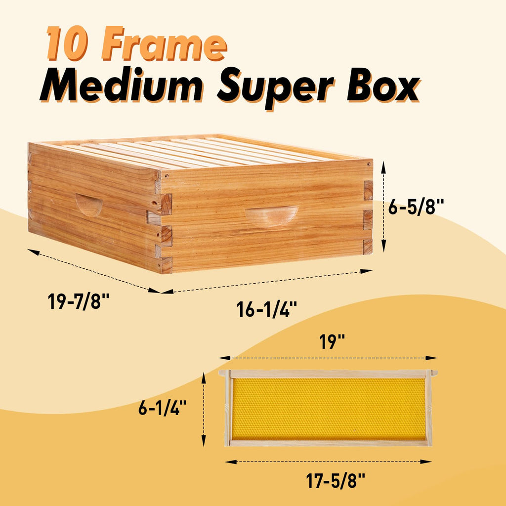 10 Frame Langstroth Bee Hive Beeswax Coated Includes Frames and Waxed Foundations 2 Deep 1 Medium Boxes