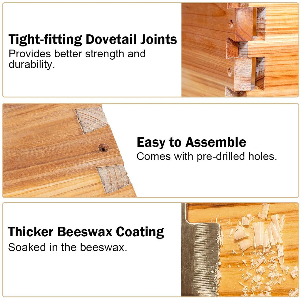 10 Frame Langstroth Bee Hive Beeswax Coated Includes Frames and Waxed Foundations 2 Deep 1 Medium Boxes