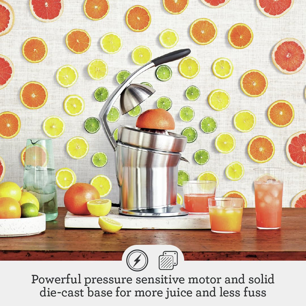 800CPXL Citrus Press Pro Orange Juicer Brushed Stainless Steel Electric Juicer for Fresh Juice