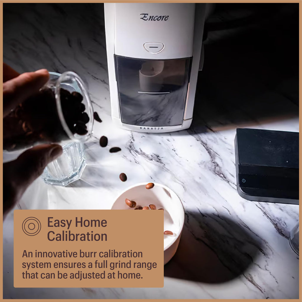 Encore coffee grinder ZCG485BLK black conical burr adjustable 40 grind settings for home brewing