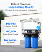 CWE Spotless Water System for Car Wash Deionized Water Filtration System for Spot Free Rinse