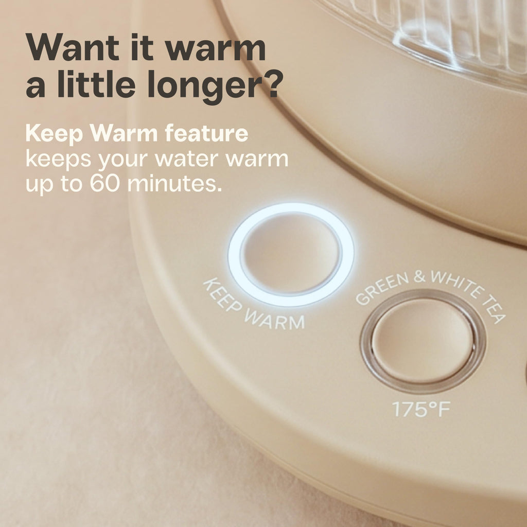 Nina electric tea kettle infuser 1.5L borosilicate glass 304 steel 4 temp presets no plastic contact beige