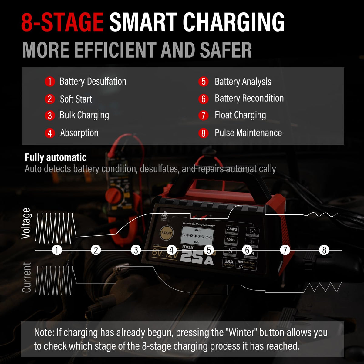 25A Pro+ Battery Charger 6V 12V Automatic Maintainer Engine Start Desulfator Repair for Lead Acid AGM LiFePO4