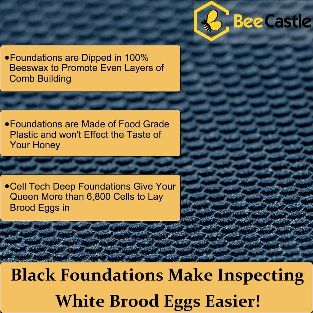 10 Frame Langstroth Bee Hive Beeswax Coated Includes Frames and Waxed Foundations 2 Deep 1 Medium Boxes