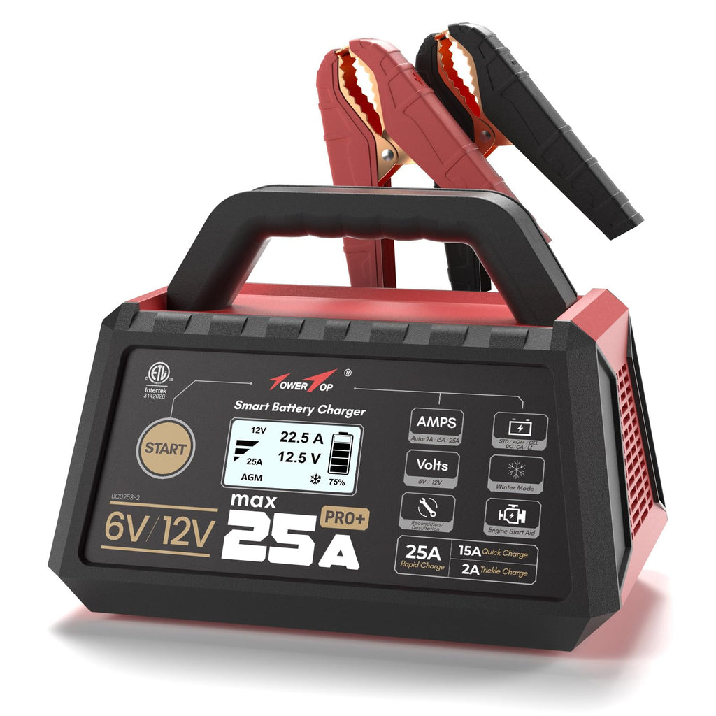 25A Pro+ Battery Charger 6V 12V Automatic Maintainer Engine Start Desulfator Repair for Lead Acid AGM LiFePO4