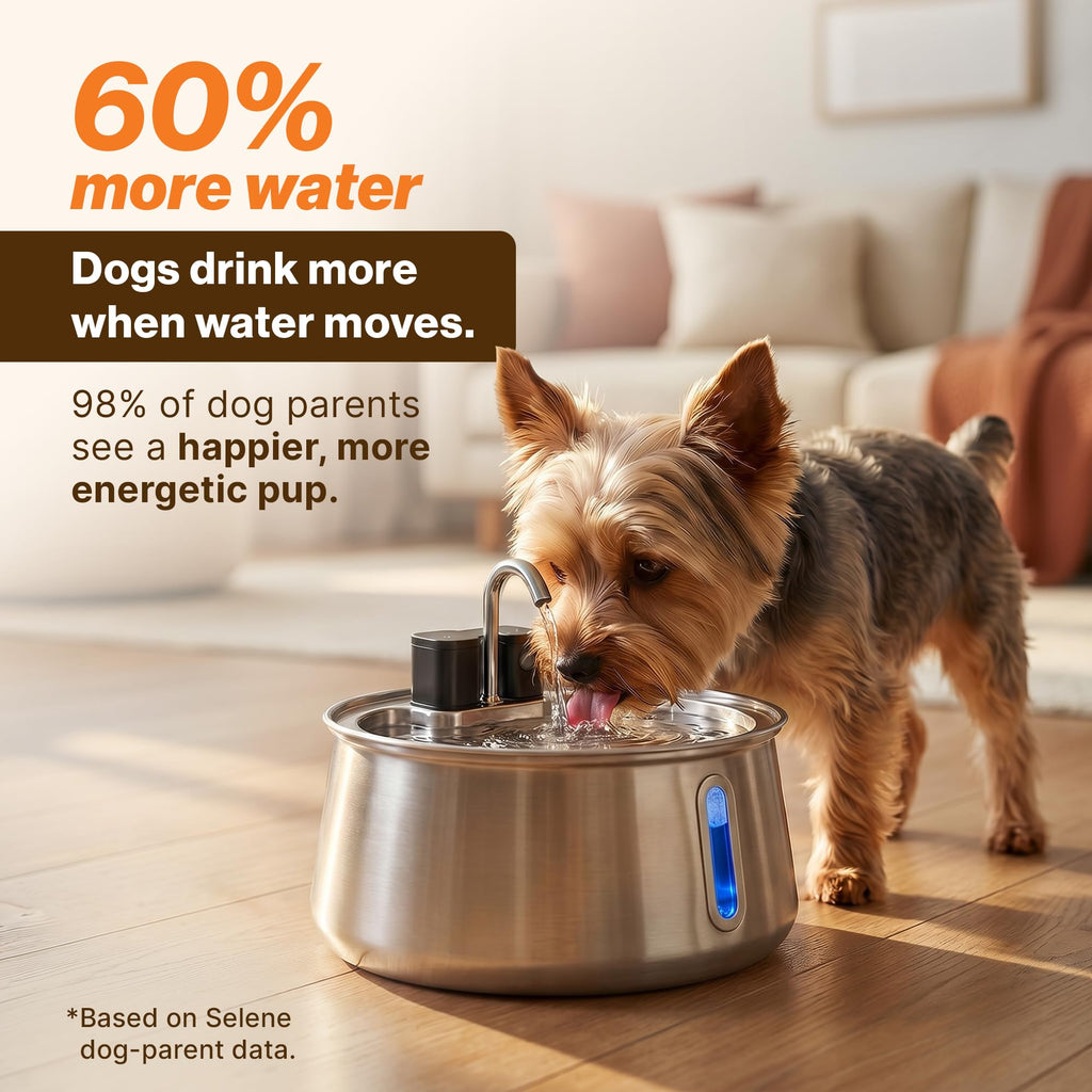Wireless doggy fountain 7L 1.85 Gal cordless stainless steel pet fountain 4 layer filtration 30 day battery