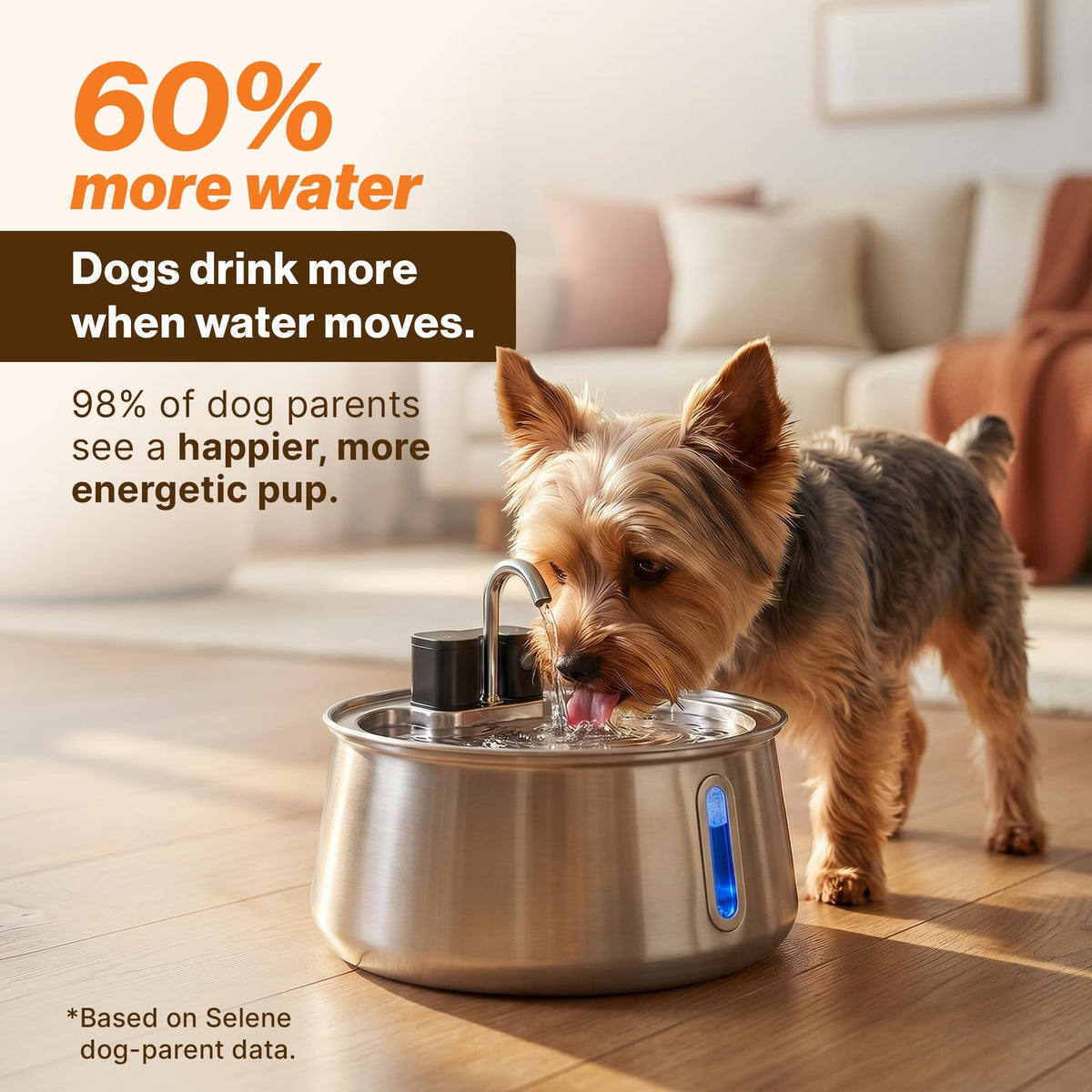 Wireless doggy fountain 7L 1.85 Gal cordless stainless steel pet fountain 4 layer filtration 30 day battery