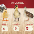 Nurture Right Egg Incubator with Auto Turner Holds 22 Eggs for Poultry Hatching and Family Farming