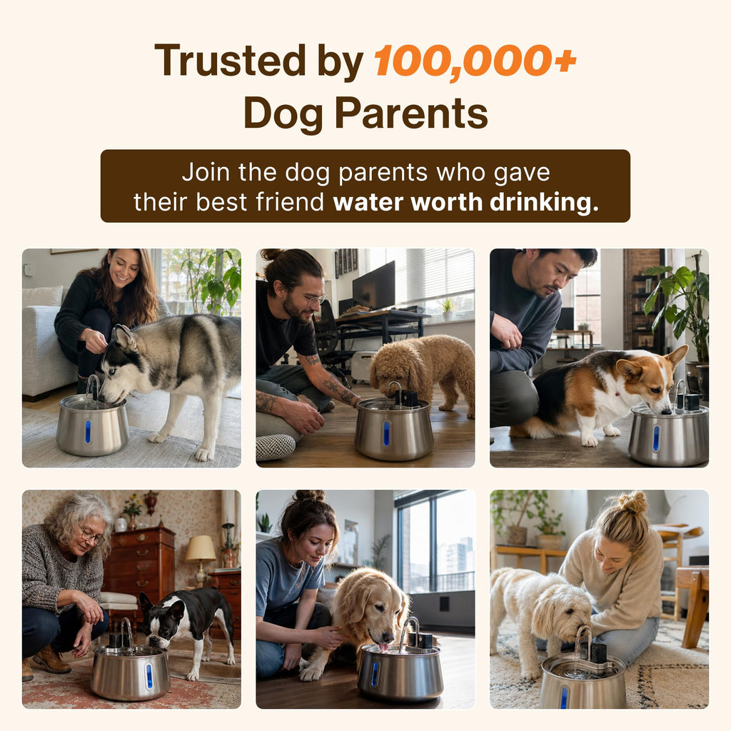 Wireless doggy fountain 7L 1.85 Gal cordless stainless steel pet fountain 4 layer filtration 30 day battery