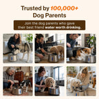 Wireless doggy fountain 7L 1.85 Gal cordless stainless steel pet fountain 4 layer filtration 30 day battery