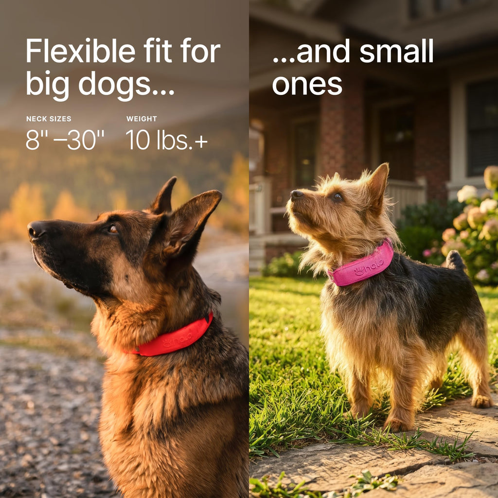 Collar 5 GPS wireless dog fence midnight waterproof smart training collar for dogs with GPS tracking