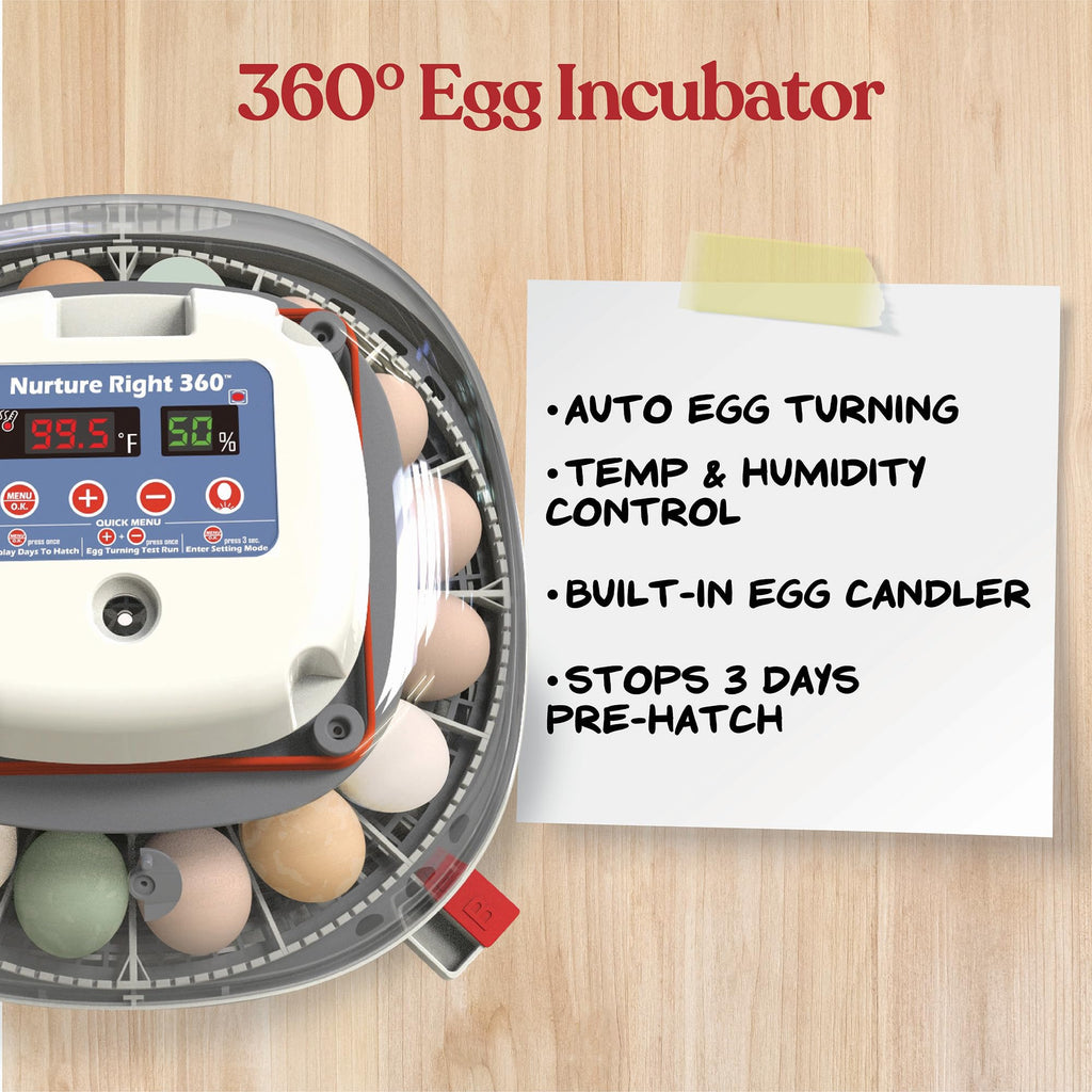 Nurture Right Egg Incubator with Auto Turner Holds 22 Eggs for Poultry Hatching and Family Farming
