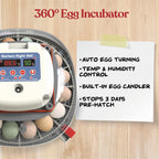 Nurture Right Egg Incubator with Auto Turner Holds 22 Eggs for Poultry Hatching and Family Farming