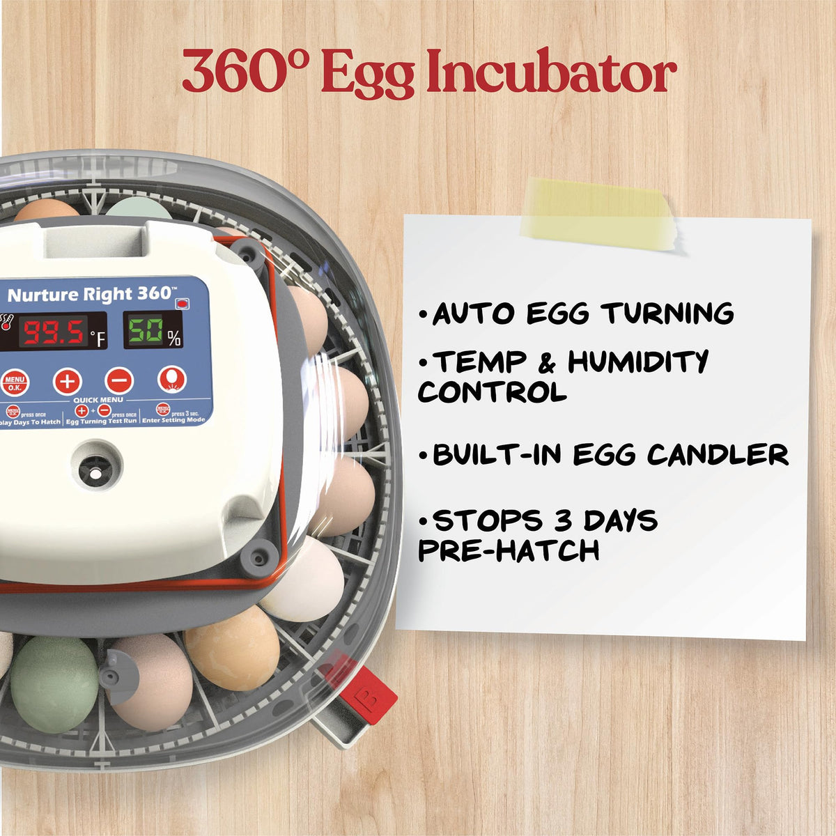 Nurture Right Egg Incubator with Auto Turner Holds 22 Eggs for Poultry Hatching and Family Farming