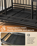 Heavy duty foldable dog crate with 5 minute quick setup double doors portable travel home indoor