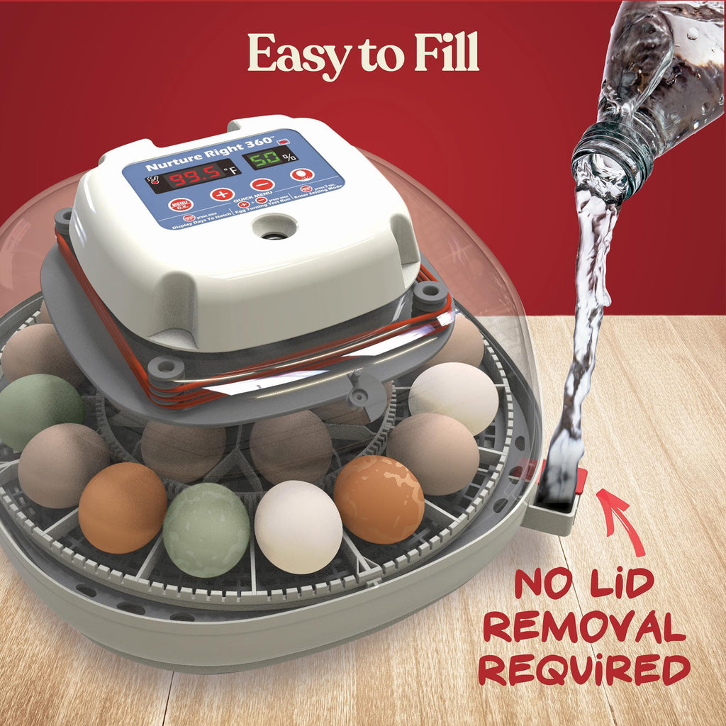 Nurture Right Egg Incubator with Auto Turner Holds 22 Eggs for Poultry Hatching and Family Farming