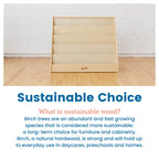 Single Sided Wooden Book Display Shelf for Kids Classroom, 5 Shelves