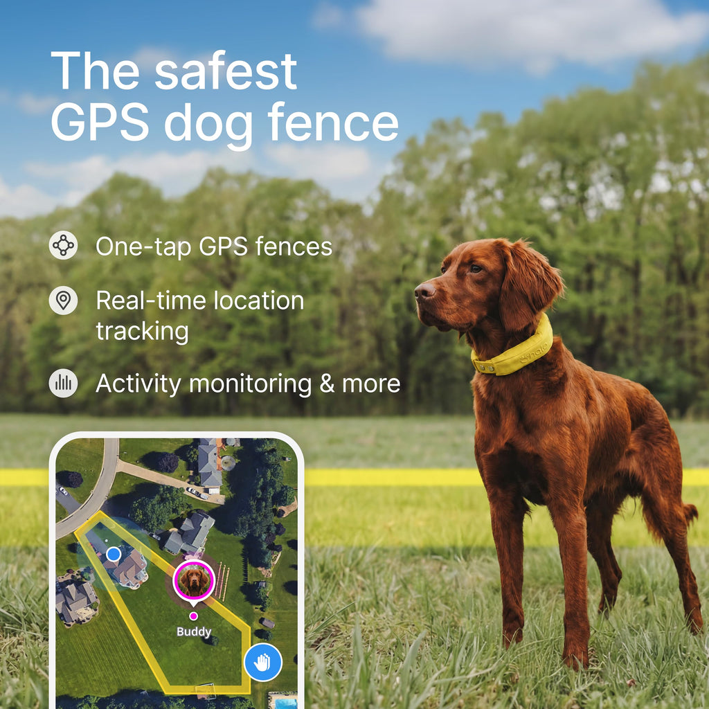 Collar 5 GPS wireless dog fence midnight waterproof smart training collar for dogs with GPS tracking