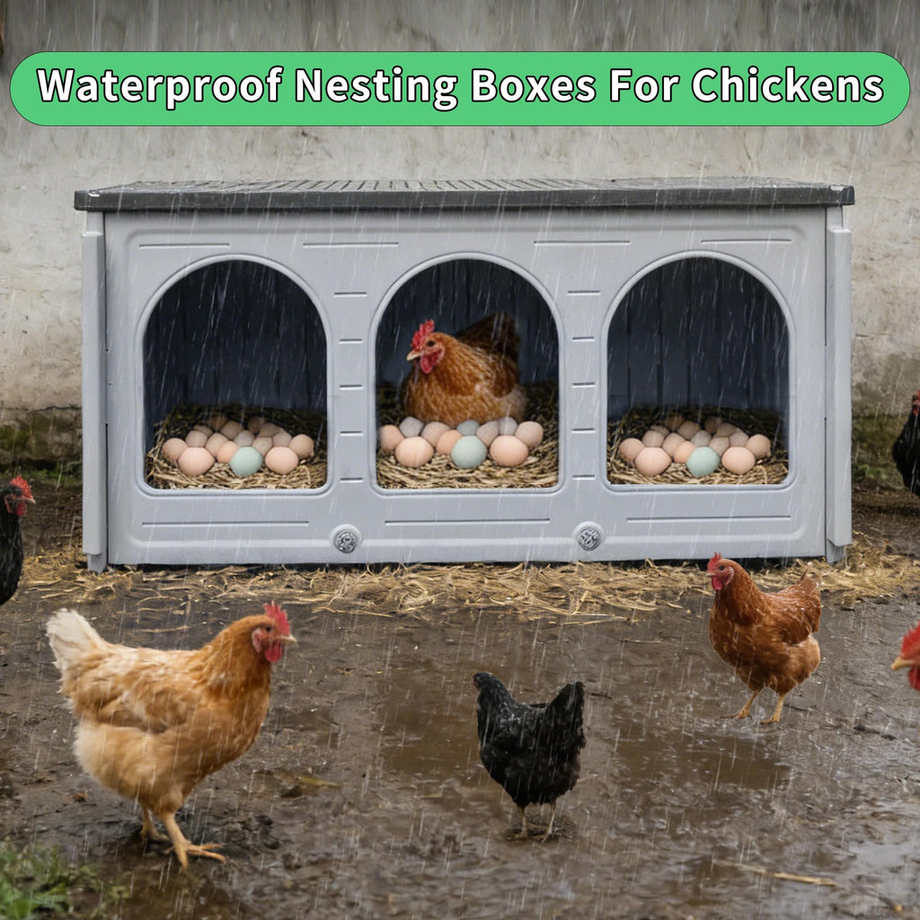Plastic Chicken Nesting Boxes for Coop Poultry Hens Egg Laying Durable Easy Clean Farm Use