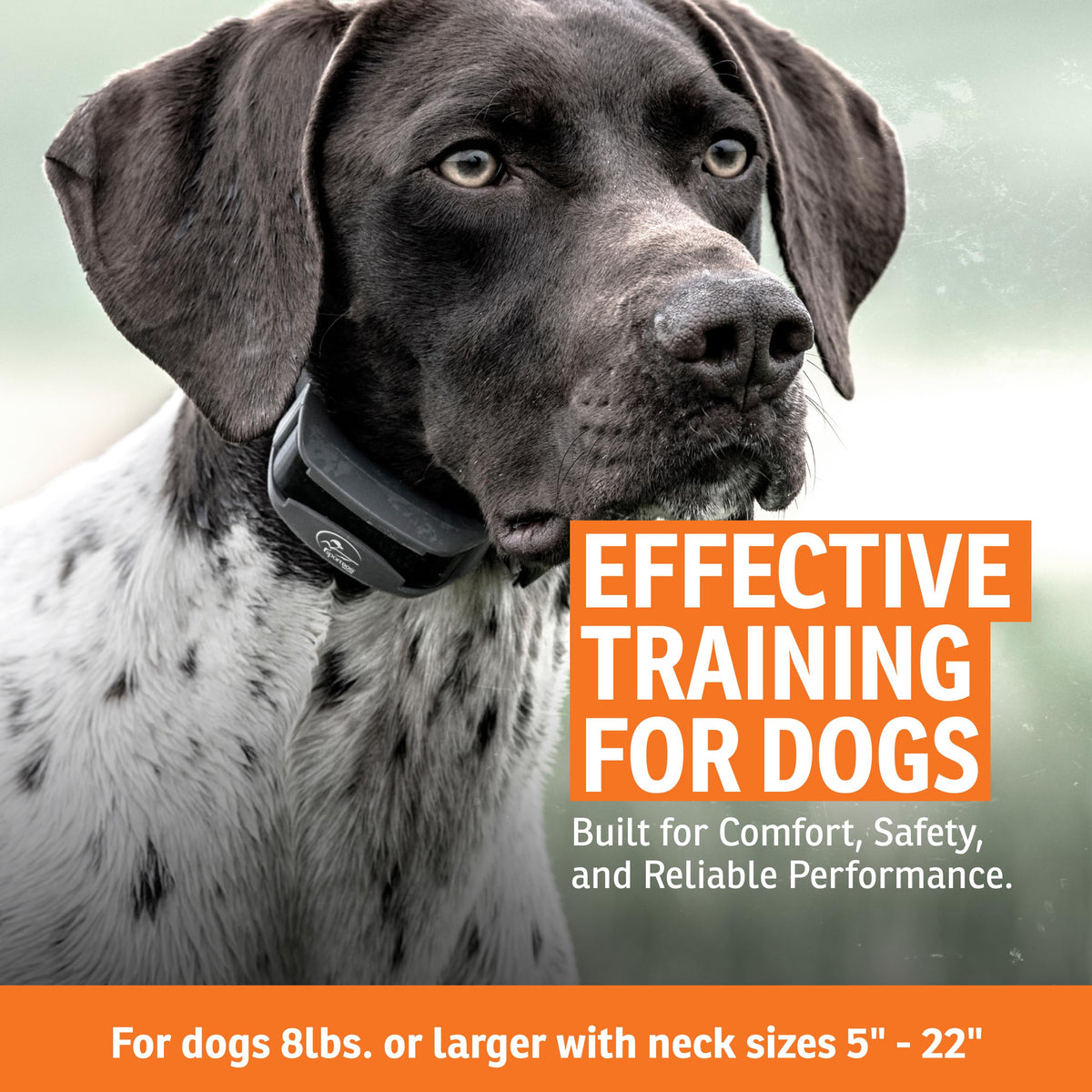 SportHunter 825X Remote Dog Trainer Collar with Half Mile Range for Obedience Training and Recall