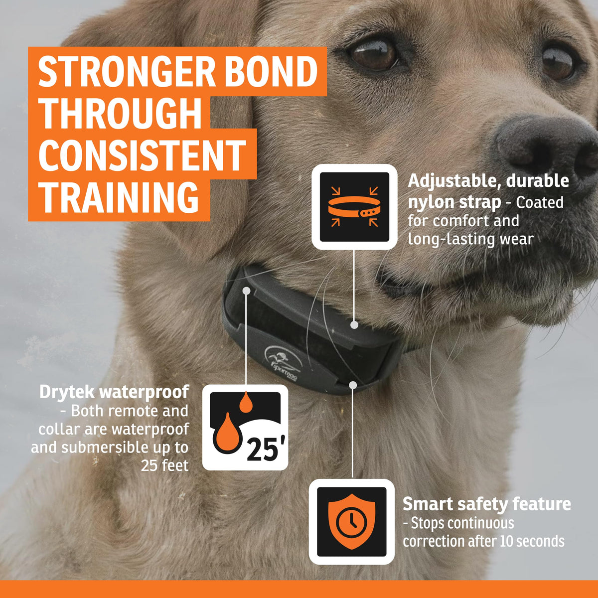 SportHunter 825X Remote Dog Trainer Collar with Half Mile Range for Obedience Training and Recall