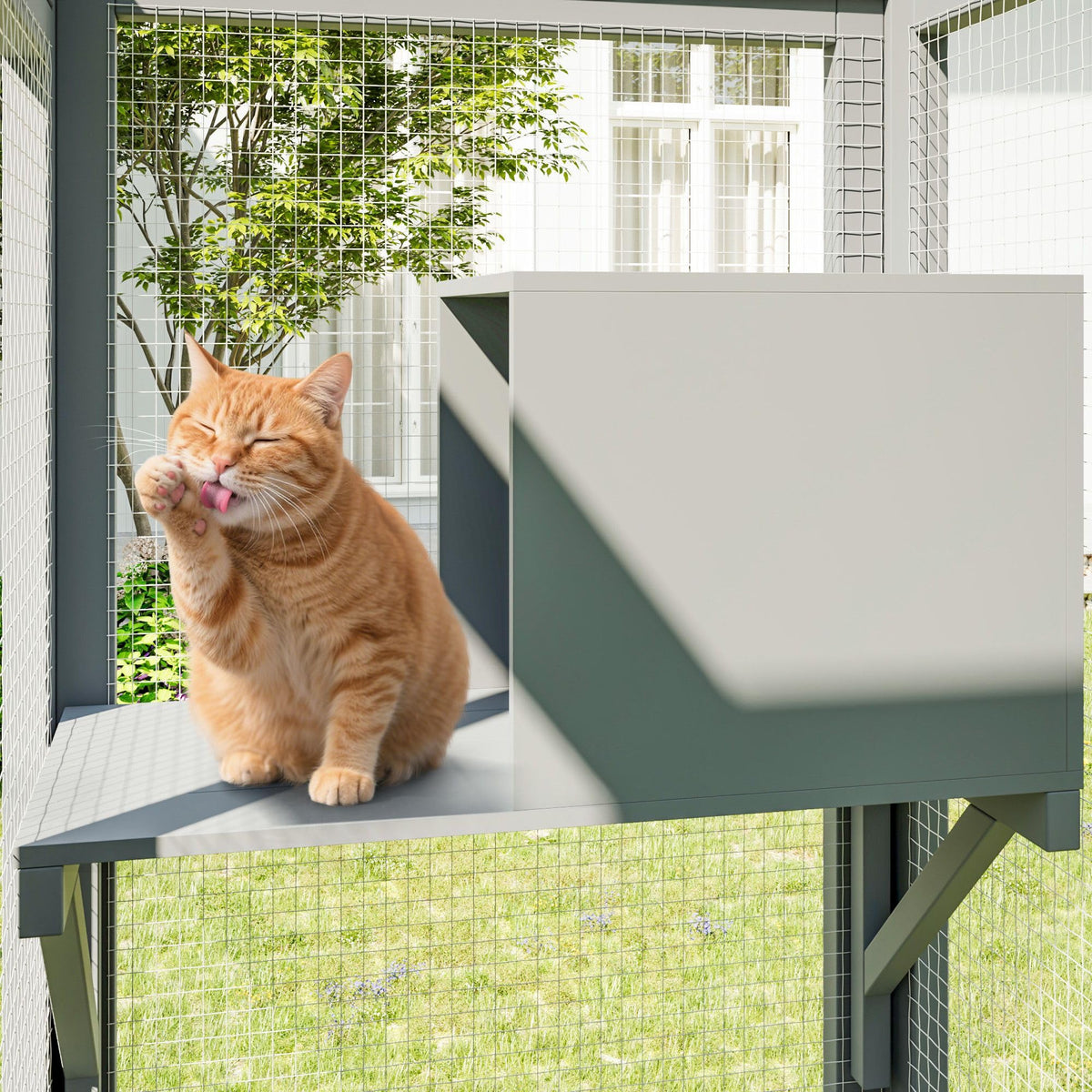 64Inch Outdoor Catio Cat Enclosure Large Cat House Cat Patio Grey for Backyard Garden and Patio