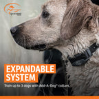 SportHunter 825X Remote Dog Trainer Collar with Half Mile Range for Obedience Training and Recall