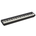 88 Key Compact Digital Piano for Beginners, FP10